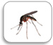 Знищення комарів, москитів, мошки та інш